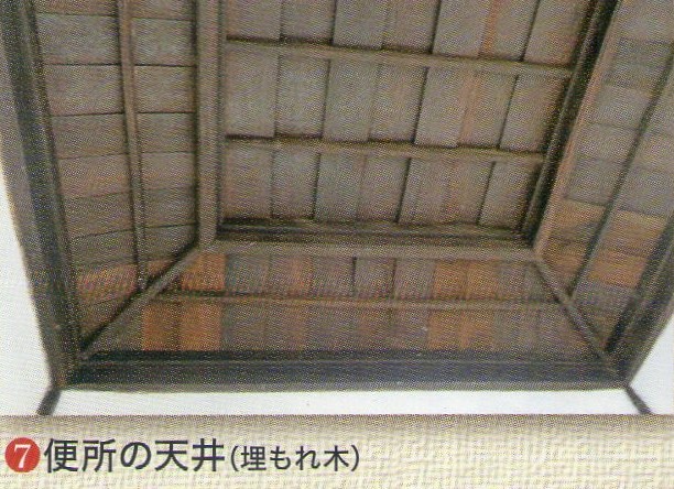 a0087378_930995.jpg