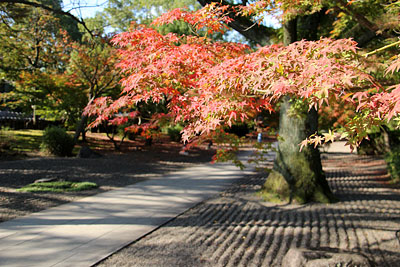 c0152779_14392428.jpg