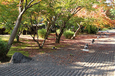 c0152779_1441246.jpg