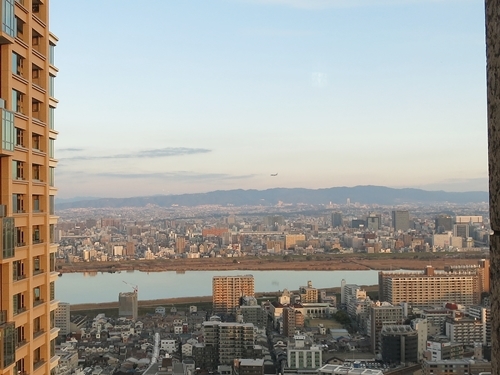 f0299682_19504234.jpg