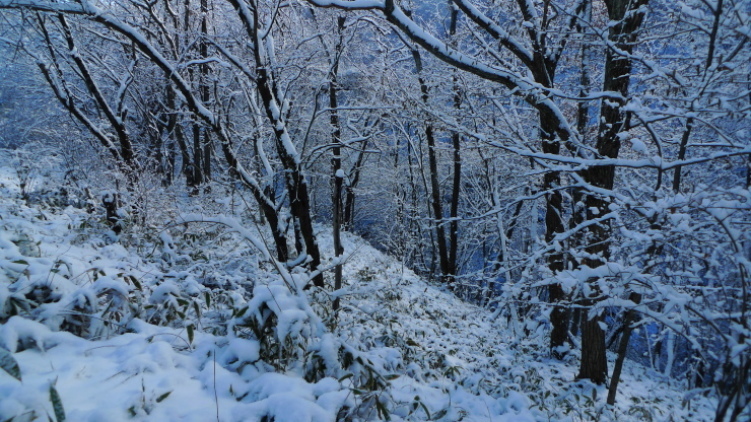 c0212083_17234489.jpg