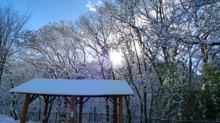c0212083_17242944.jpg