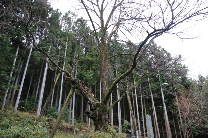 c0358784_15305165.jpg