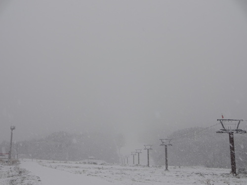 c0223286_7473484.jpg