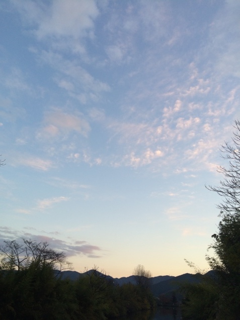 f0379286_20582743.jpeg