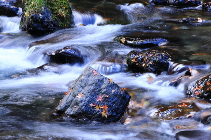 e0305388_08512383.jpg