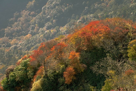 紅葉の仁田峠_e0176993_07374159.jpg