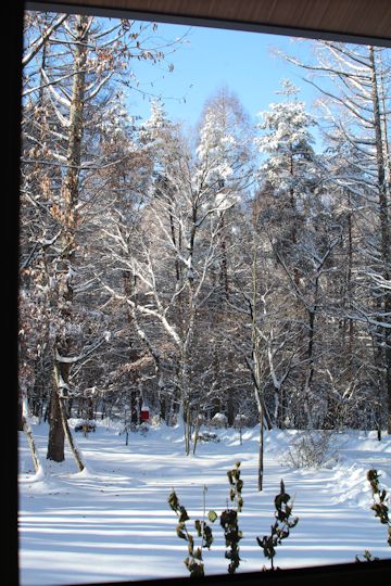 c0090198_2010365.jpg
