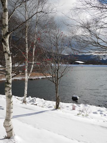 c0090198_20271263.jpg