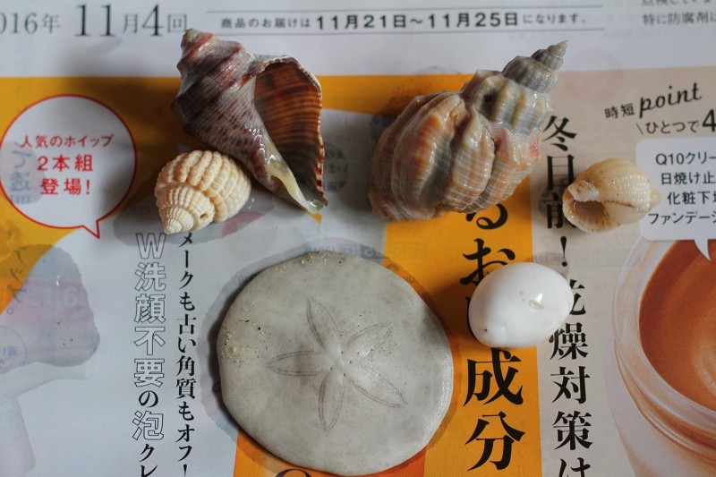 c0204298_11375453.jpg