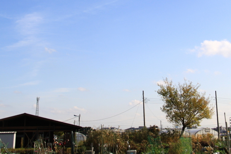 d0248502_20490828.jpg