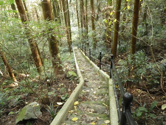 16-11：里山紅葉２「金比羅山＆烽火山」　　　　_f0187402_2202775.jpg