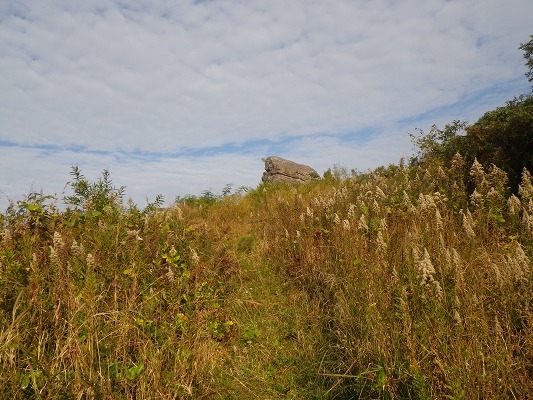 f0187402_2204098.jpg