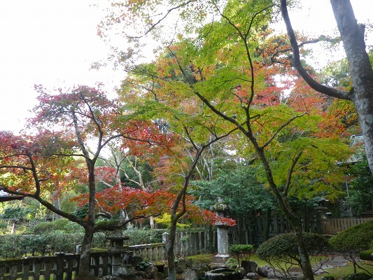 16-11：里山紅葉２「金比羅山＆烽火山」　　　　_f0187402_2205145.jpg