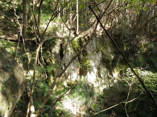 16-11：里山紅葉２「金比羅山＆烽火山」　　　　_f0187402_222510.jpg