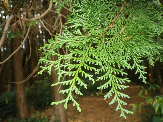 f0187402_223437.jpg