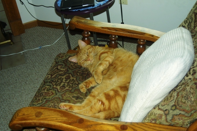 c0062603_08213335.jpg