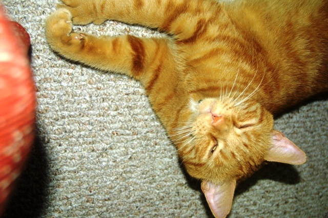 c0062603_08222075.jpg