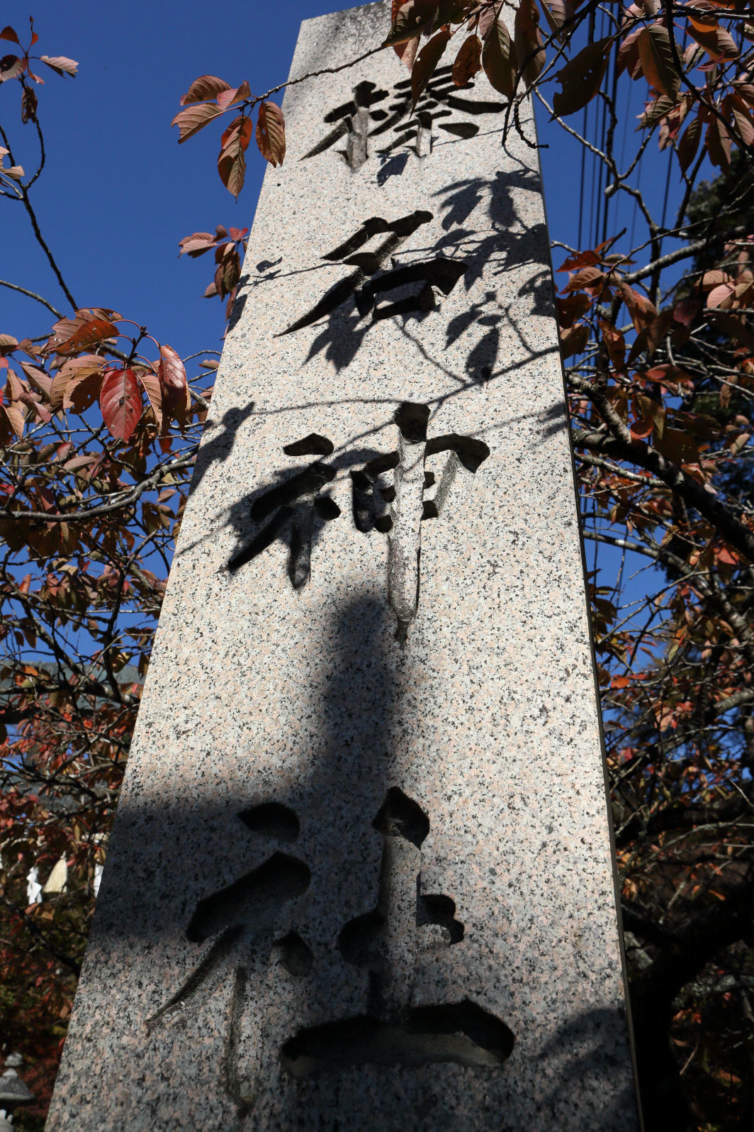 a0155104_23393319.jpg