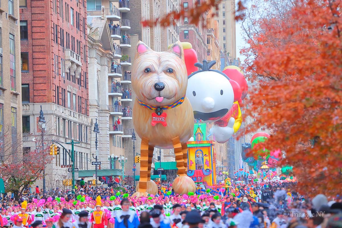 Macy\'s Thanksgiving Day Parade 2016 ~90周年~ <Balloon編>_a0274805_21180229.jpg