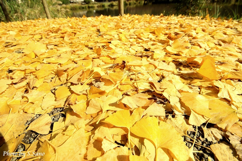 b0348205_15402580.jpg