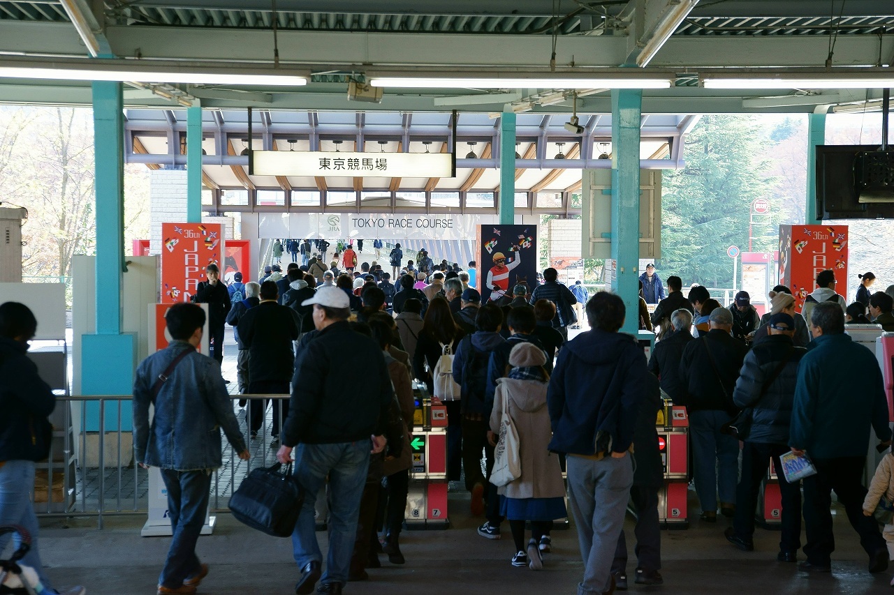 秋の東京競馬場～①_b0225108_19013772.jpg