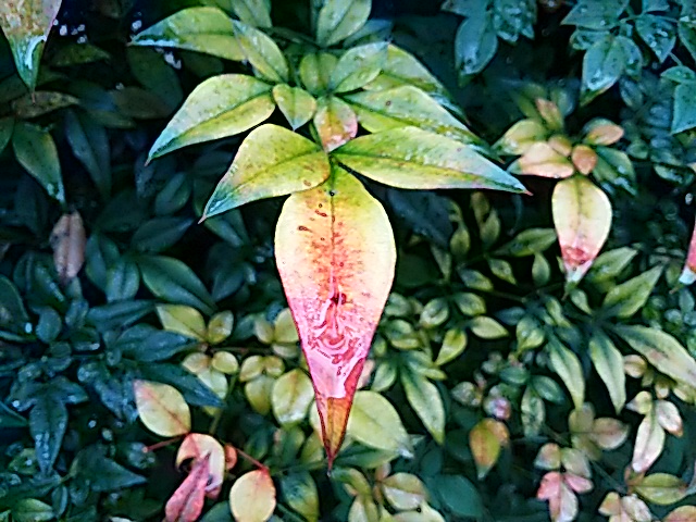 f0231709_2124274.jpg