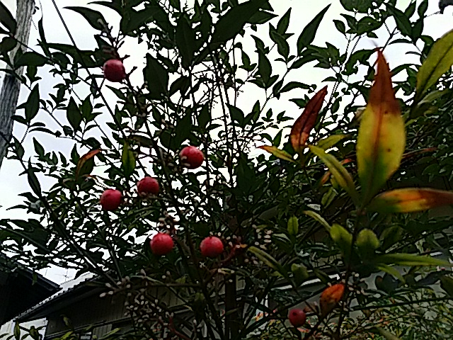 f0231709_2133067.jpg