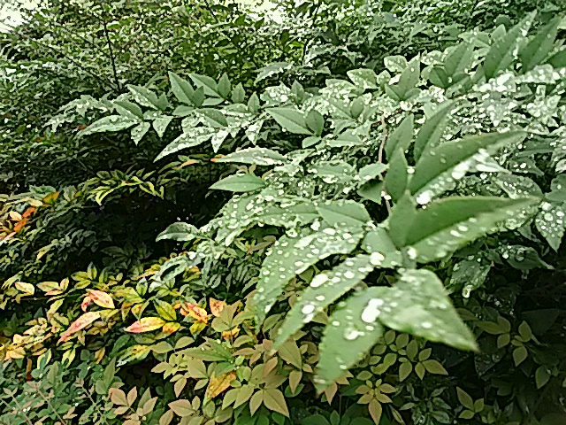f0231709_2135364.jpg