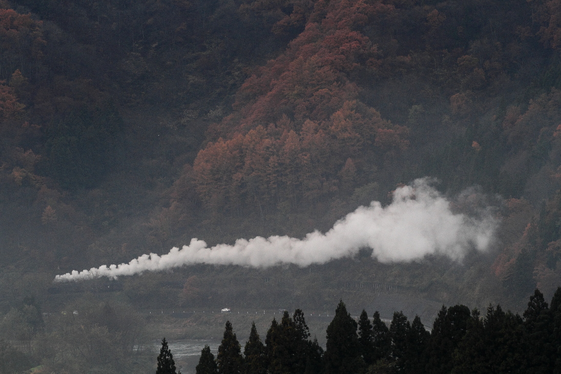 色づく山と白煙 - 2016年晩秋・飯山線 - _b0190710_23235898.jpg