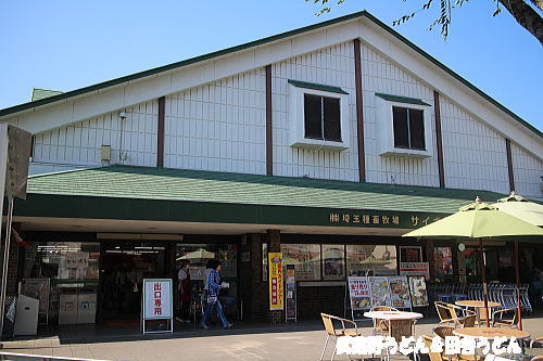 c0113312_8564164.jpg
