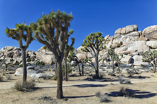 c0148812_22513776.jpg