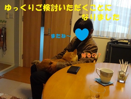 f0121712_14433919.jpg