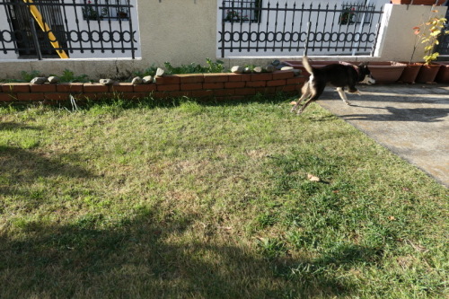 f0369014_10520830.jpg