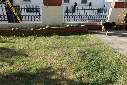 f0369014_10562876.jpg
