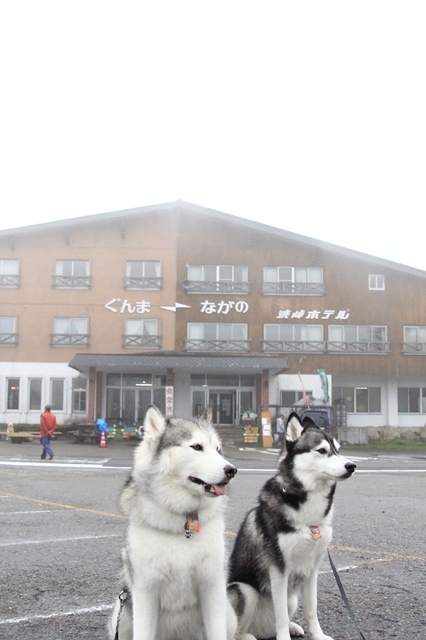 b0207615_13584440.jpg