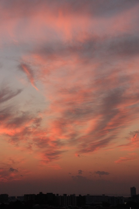 夕陽に染まる放射状雲ーⅠ_b0268615_815040.jpg