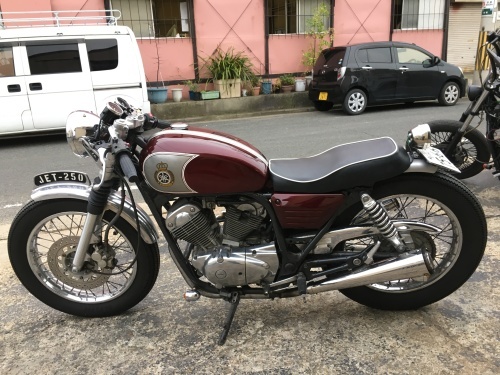 スガルネッサ完成!_a0164918_16215510.jpg