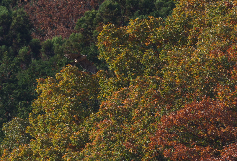 f0288418_1041314.jpg