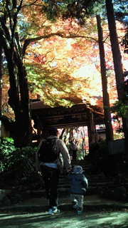 b0170623_010134.jpg