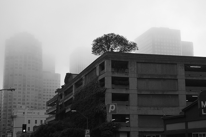 霧のサンフランシスコ_b0327328_22310732.jpg