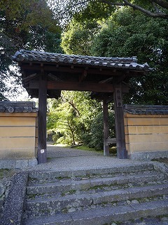 c0039428_23385021.jpg