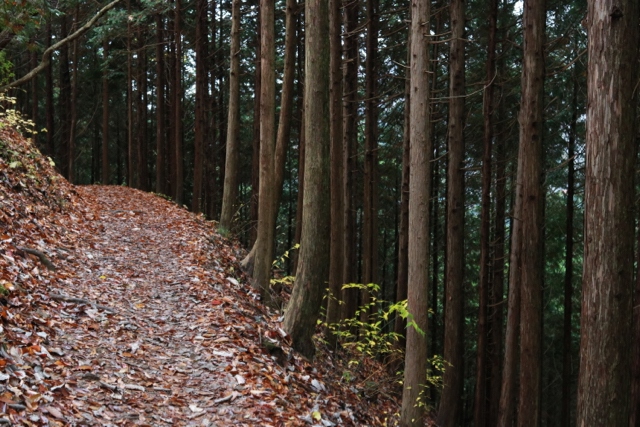 御岳山〜日の出山ハイキング part 2_f0348831_11311188.jpg