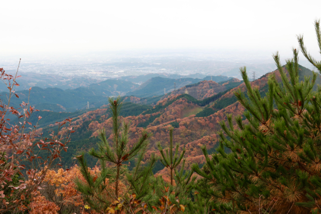 御岳山〜日の出山ハイキング part 2_f0348831_11320344.jpg