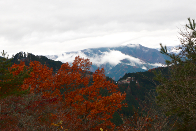 御岳山〜日の出山ハイキング part 2_f0348831_11323753.jpg