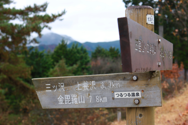 御岳山〜日の出山ハイキング part 2_f0348831_11325112.jpg
