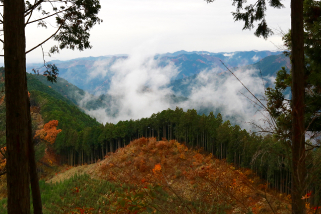 御岳山〜日の出山ハイキング part 3_f0348831_22070367.jpg