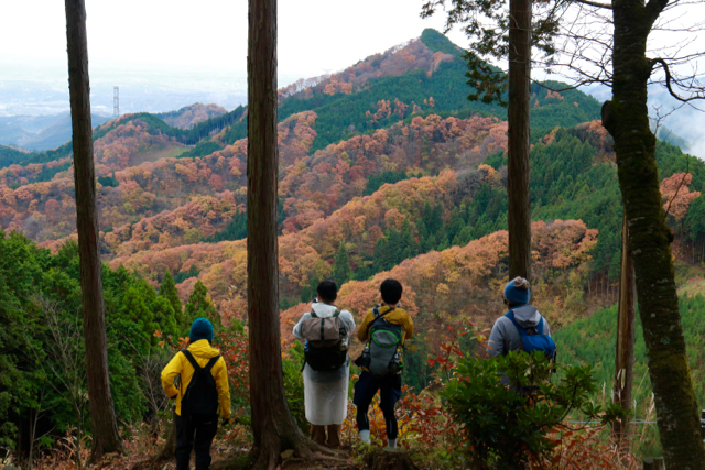 御岳山〜日の出山ハイキング part 3_f0348831_22070412.jpg