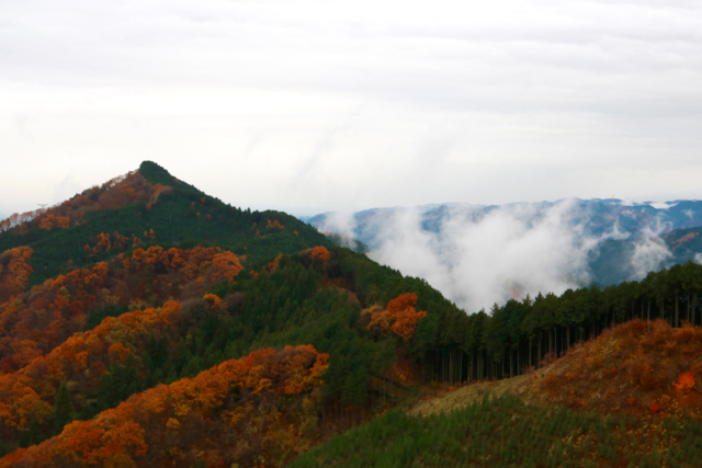 御岳山〜日の出山ハイキング part 3_f0348831_22115924.jpg