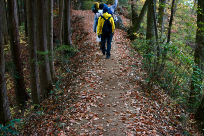 御岳山〜日の出山ハイキング part 3_f0348831_22121397.jpg